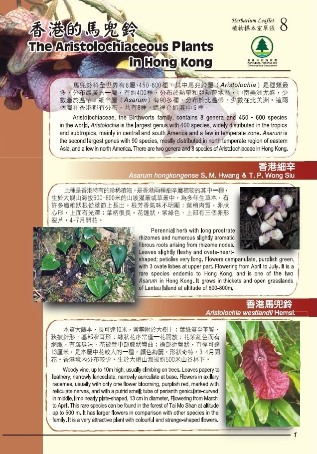 8. The Aristolochiaceous plants in Hong Kong (Bilingual)