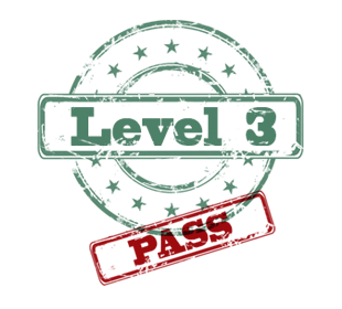 Level 3 Pass