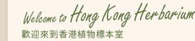 Welcome to Hong Kong Herbarium 歡迎來到香港植物標本室